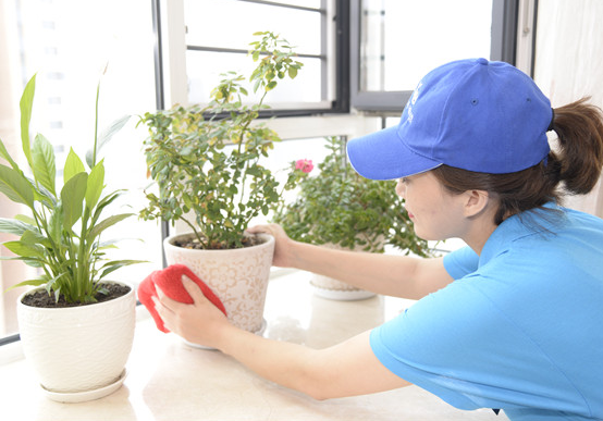 青島市南區保潔家政公司